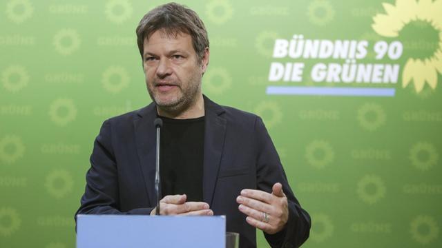 Der Grünen-Co-Vorsitzende Robert Habeck