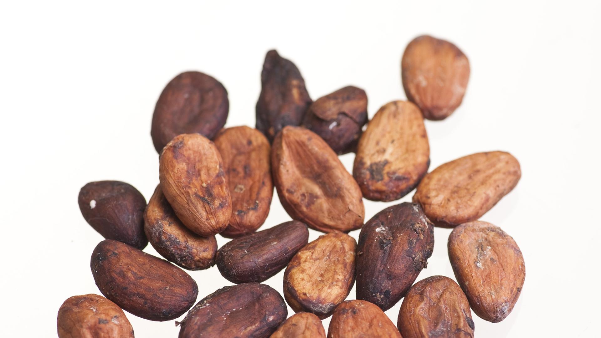 Ungeschälte Kakaobohnen