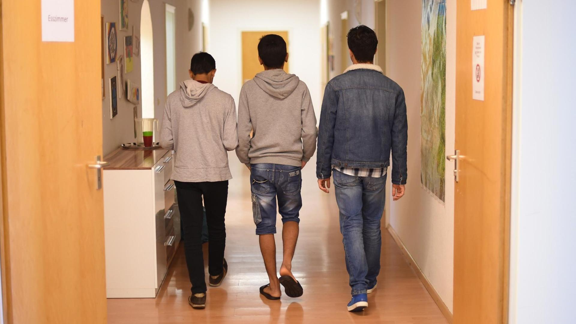 Drei Jugendliche gehen einen Flur entlang. Sie sind von hinten zu sehen. Drei Jugendliche gehen einen Flur entlang. Sie sind von hinten zu sehen.