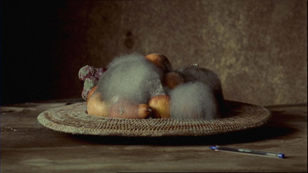 Filmstill aus Sam Taylor-Johnsons Video "Still Life", Edition 5/6, Sammlung Goetz in München Filmstill aus Sam Taylor-Johnsons Video "Still Life", Edition 5/6, Sammlung Goetz in München