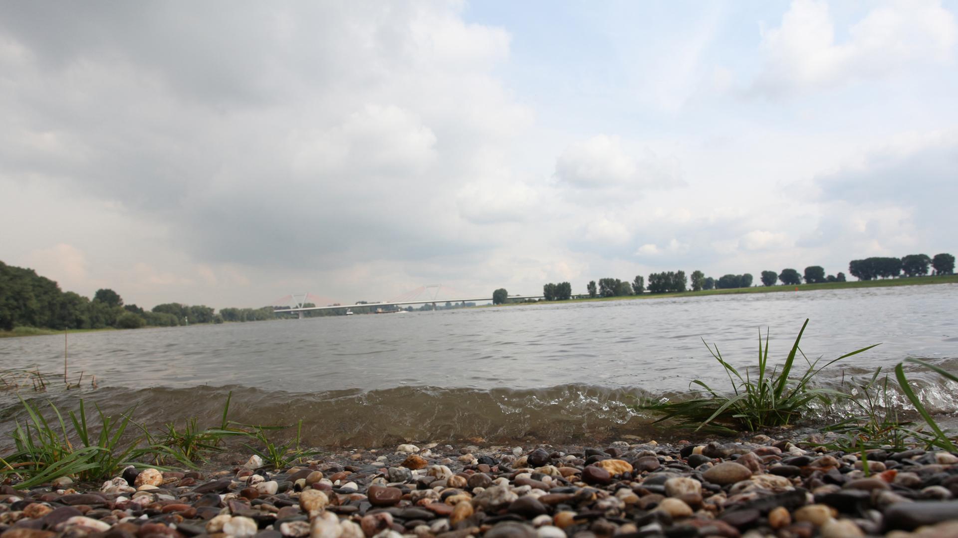 Das Rheinufer bei Düsseldorf. Das Rheinufer bei Düsseldorf.