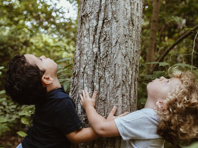 Zwei kleine Jungs schauen einen Baumstamm entlang nach oben und umarmen ihn.