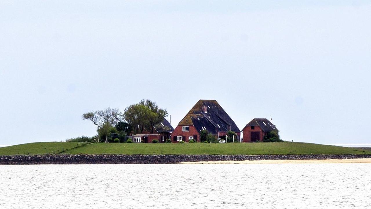 Haus auf der Hallig Hooge, von Wasser umgeben.