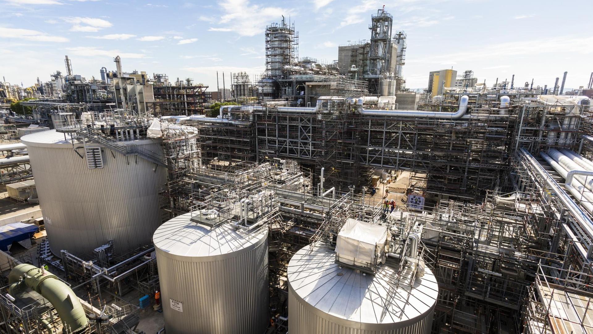 Der Ludwigshafener Chemiekonzern BASF Der Ludwigshafener Chemiekonzern BASF