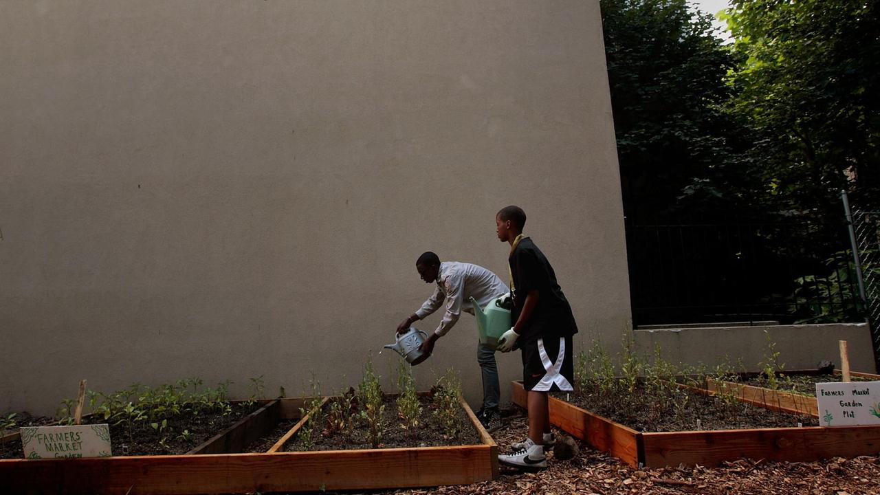 Zwei junge Männer wässern im New Yorker Hattie Carthan Community Garden eine Rabatte Zwei junge Männer wässern im New Yorker Hattie Carthan Community Garden eine Rabatte