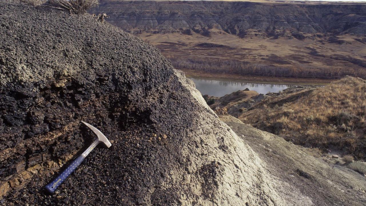 Red Deer River Valley, Alberta, Canada: Die Spitze des Geologenhammers weist auf die iridiumreiche, etwa zwei Zentimeter dicke Tonschicht. Red Deer River Valley, Alberta, Canada: Die Spitze des Geologenhammers weist auf die iridiumreiche, etwa zwei Zentimeter dicke Tonschicht.