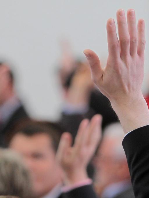 Die rheinland-pfälzischen Abgeordneten stimmen am 27.03.2014 im Landtag in Mainz (Rheinland-Pfalz) mit Handzeichen über das Kommunalwahlgesetz ab.