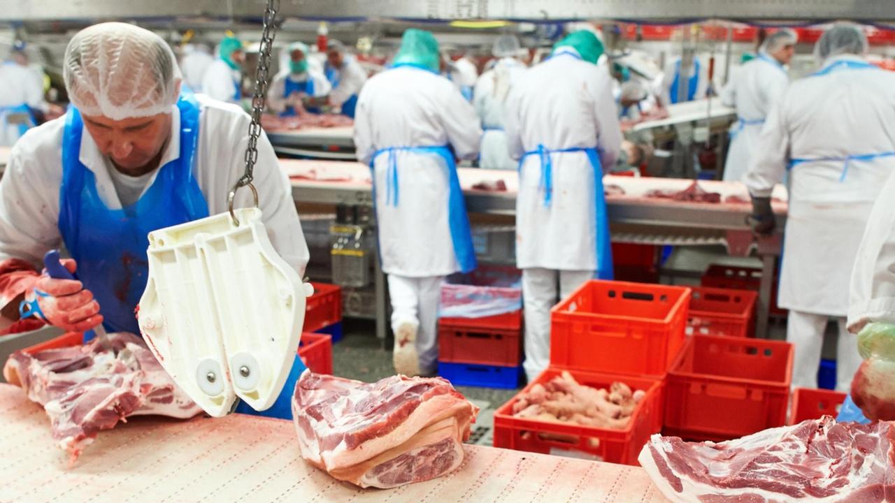 Auch in der Fleischindustrie werden Arbeiter unter heiklen Bedingungen beschäftigt. Auch in der Fleischindustrie werden Arbeiter unter heiklen Bedingungen beschäftigt.