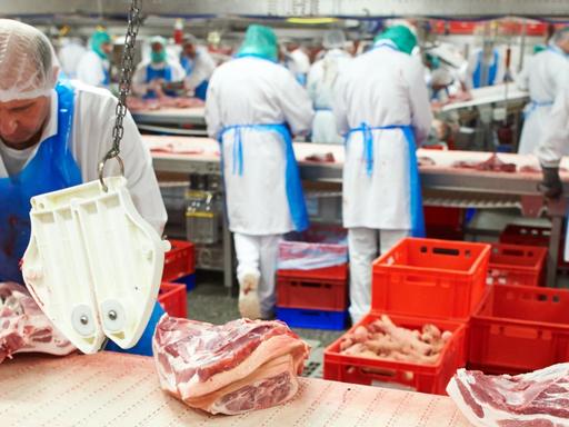 Auch in der Fleischindustrie werden Arbeiter unter heiklen Bedingungen beschäftigt.