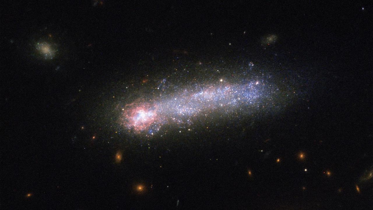 Die Zwerggalaxie Kiso 5639 im Sternbild Großer Bär (NASA/ESA)