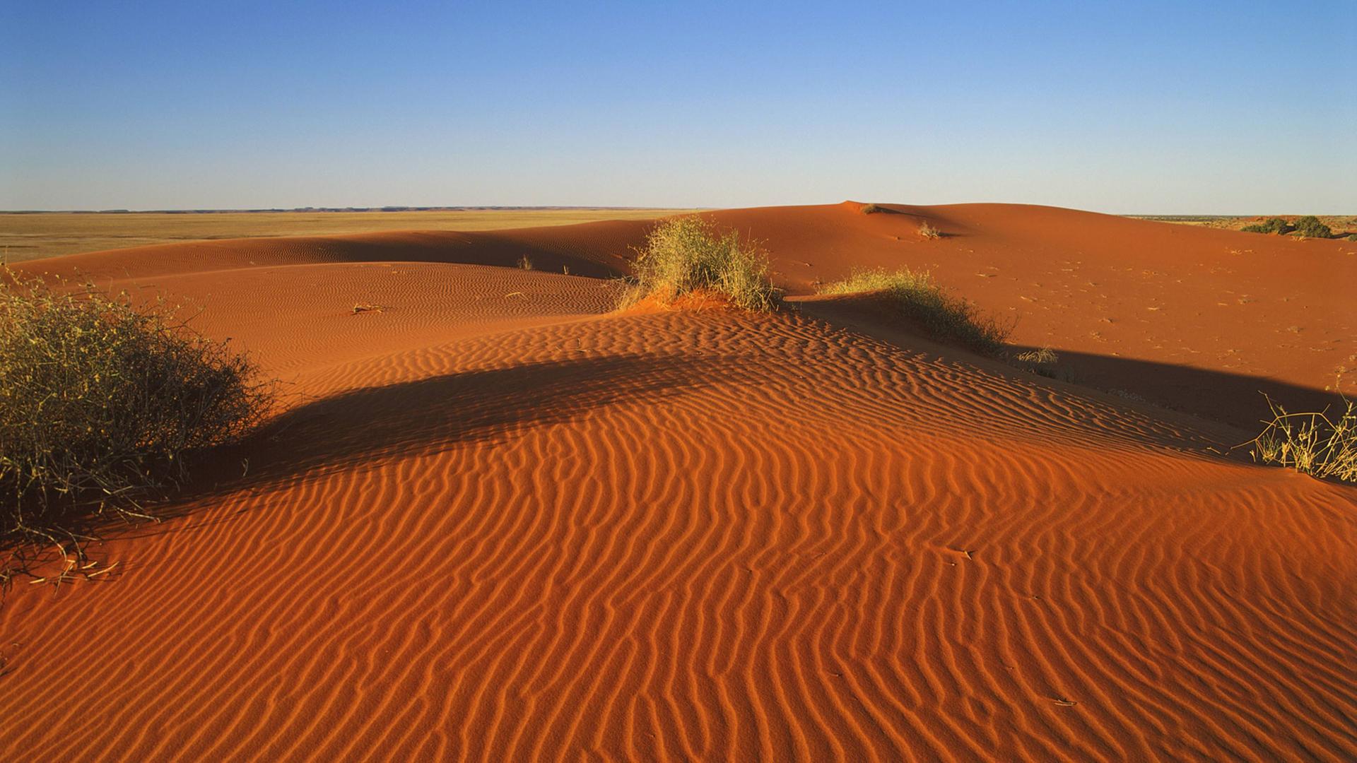 Die Strzelecki-Wüste ist die siebt-größte Wüste in Süd-Australien.