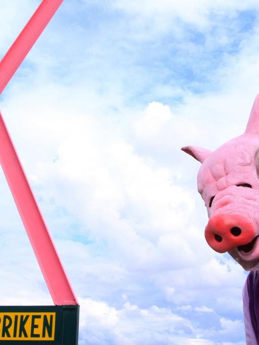 Eine Person trägt eine Schweinemaskte und ballt die Faust kämpferisch. Daneben ein pinke X welches die Aufschrift "Keine Tierfabriken" trägt.