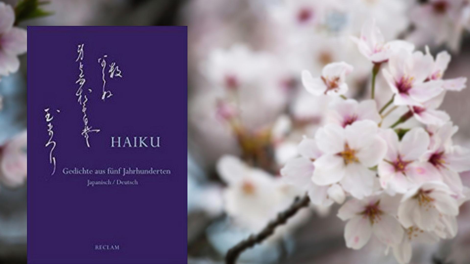 Großes Rezensentenlob für den Band "Haiku": ein beeindruckender Überblick über ein halbes Jahrtausend Haiku-Geschichte in Japan - mit größter Sorgfalt aufbereitet Großes Rezensentenlob für den Band "Haiku": ein beeindruckender Überblick über ein halbes Jahrtausend Haiku-Geschichte in Japan - mit größter Sorgfalt aufbereitet