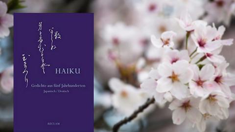 Großes Rezensentenlob für den Band "Haiku": ein beeindruckender Überblick über ein halbes Jahrtausend Haiku-Geschichte in Japan - mit größter Sorgfalt aufbereitet