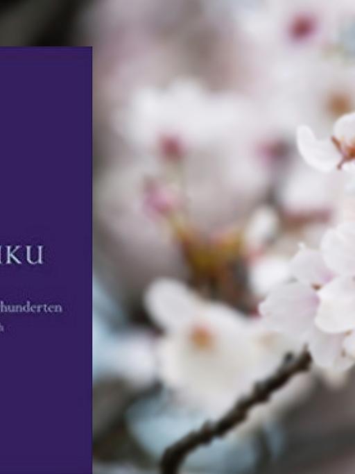Großes Rezensentenlob für den Band "Haiku": ein beeindruckender Überblick über ein halbes Jahrtausend Haiku-Geschichte in Japan - mit größter Sorgfalt aufbereitet