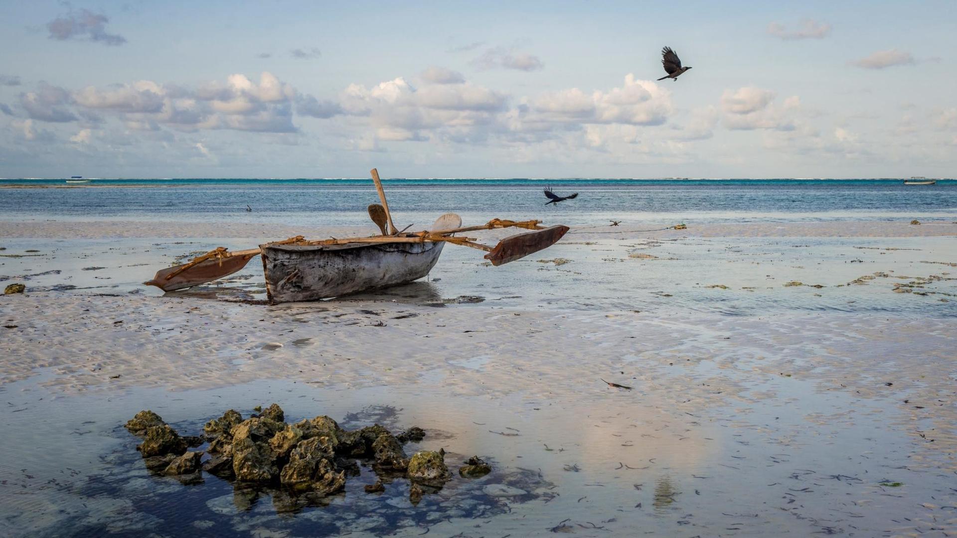 Strand im Südosten Sansibars, der größten Insel von Tansania im Indischen Ozean. (Foto von Juli 2015) | Verwendung weltweit Strand im Südosten Sansibars, der größten Insel von Tansania im Indischen Ozean. (Foto von Juli 2015) | Verwendung weltweit