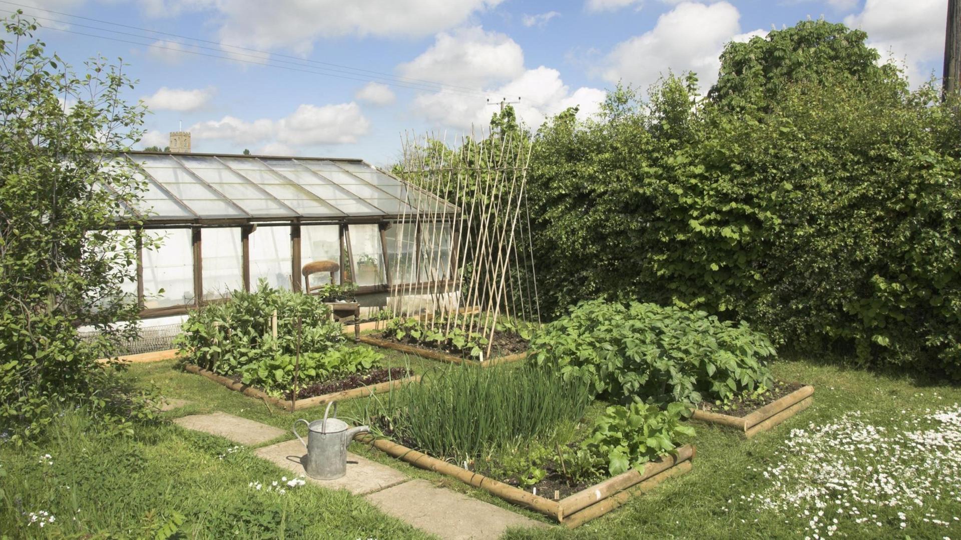 Kleiner Gemüsegarten mit Hochbeeten, mit Salat- und Gemüsepflanzen, im Hintergrund ein Gewächshaus Kleiner Gemüsegarten mit Hochbeeten, mit Salat- und Gemüsepflanzen, im Hintergrund ein Gewächshaus