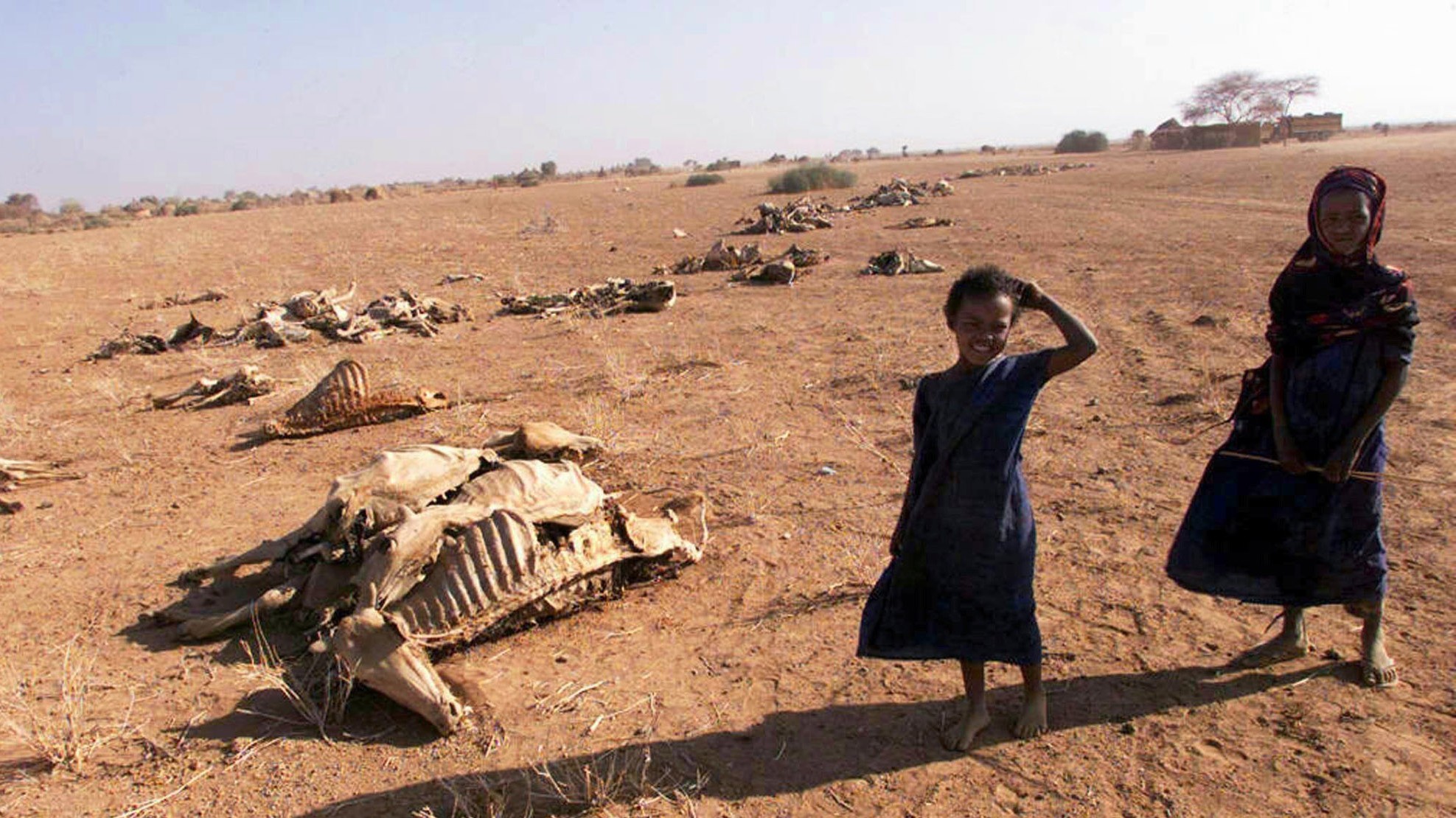 Dürre In Afrika Nachrichtenleichtde