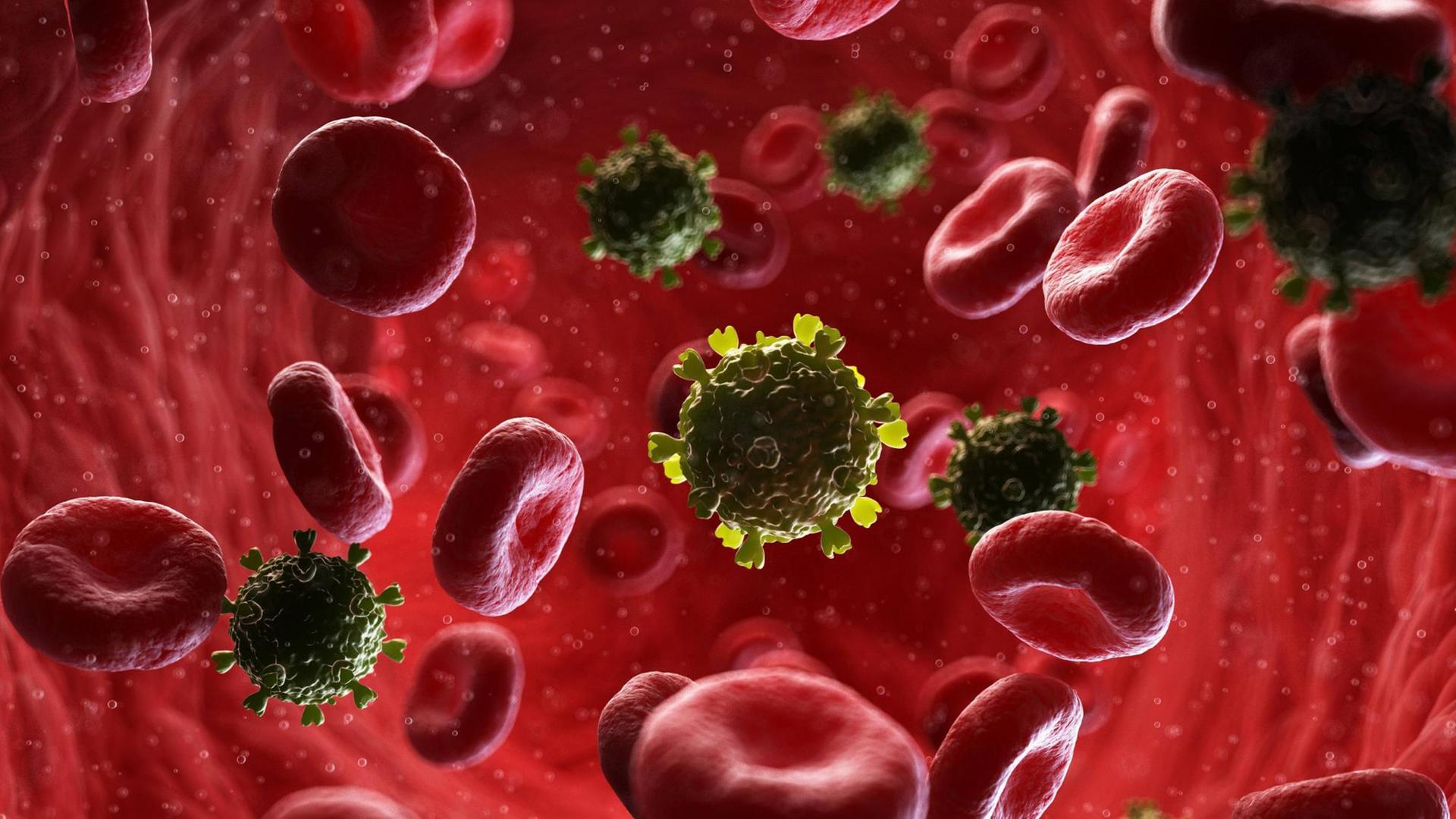 Illustration of HIV particles in human blood Illustration of HIV particles in human blood. PUBLICATIONxINxGERxSUIxHUNxONLY SCIEPRO/SCIENCExPHOTOxLIBRARY F023/6088 Illustration of HIV particles in human blood Illustration of HIV particles in human blood. PUBLICATIONxINxGERxSUIxHUNxONLY SCIEPRO/SCIENCExPHOTOxLIBRARY F023/6088