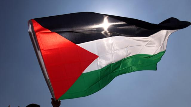 Flagge Palästinas im Wind
