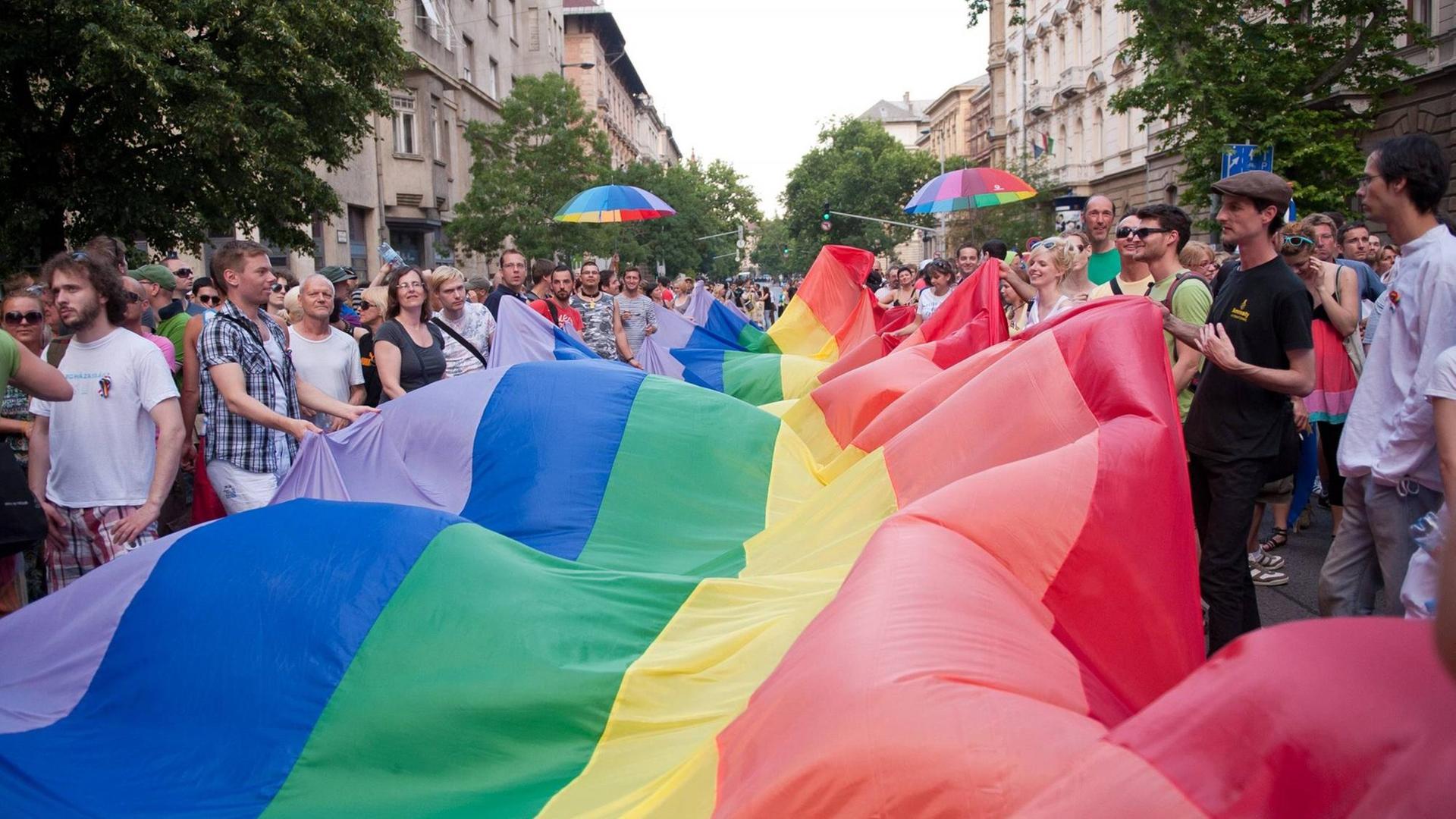 Etliche Menschen halten bei einer Protestkundgebung der Pride-Bewegung eine überdimensionale Regenbogenfahne. Etliche Menschen halten bei einer Protestkundgebung der Pride-Bewegung eine überdimensionale Regenbogenfahne.