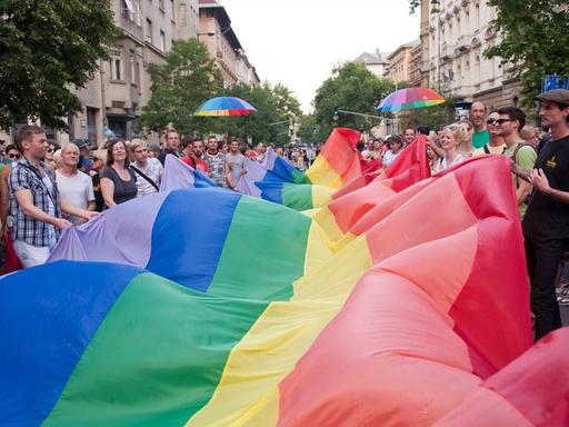 Etliche Menschen halten bei einer Protestkundgebung der Pride-Bewegung eine überdimensionale Regenbogenfahne.