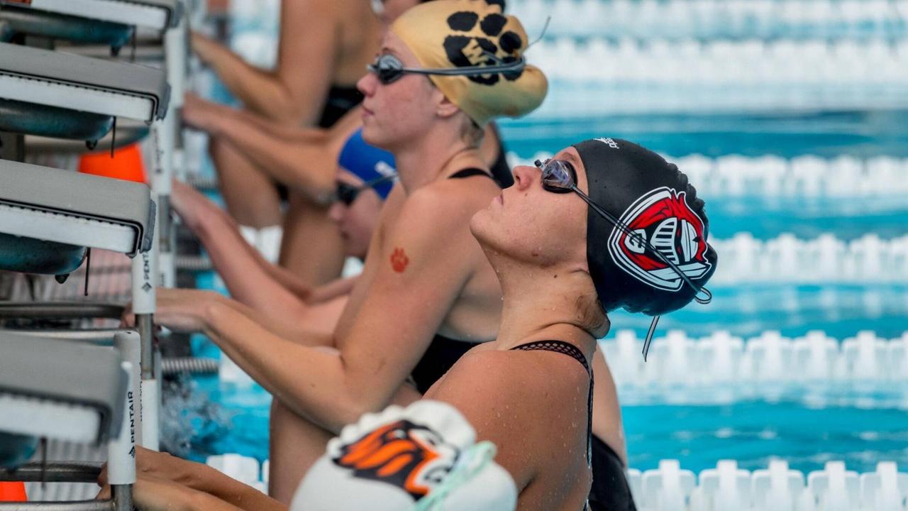 Der Start bei einem Rennen im Rückenschwimmen bei einer High-School-Meisterschaft Der Start bei einem Rennen im Rückenschwimmen bei einer High-School-Meisterschaft