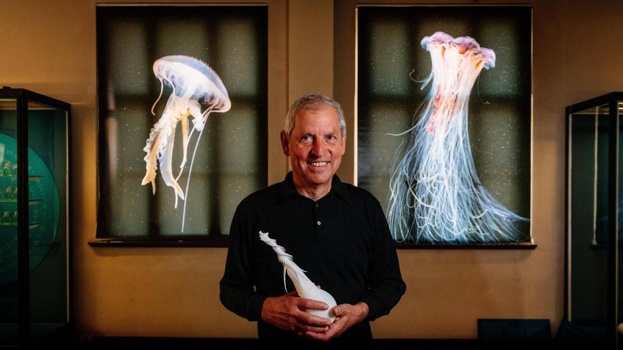 Prof. Dr. Dr. h. c. Martin S. Fischer hält ein Quallenmodell in den Händen, im Hintergrund Fotografien von Quallen. (Eröffnung der Quallenausstellung im Phyletischen Museum Jena 2019) Prof. Dr. Dr. h. c. Martin S. Fischer hält ein Quallenmodell in den Händen, im Hintergrund Fotografien von Quallen. (Eröffnung der Quallenausstellung im Phyletischen Museum Jena 2019)