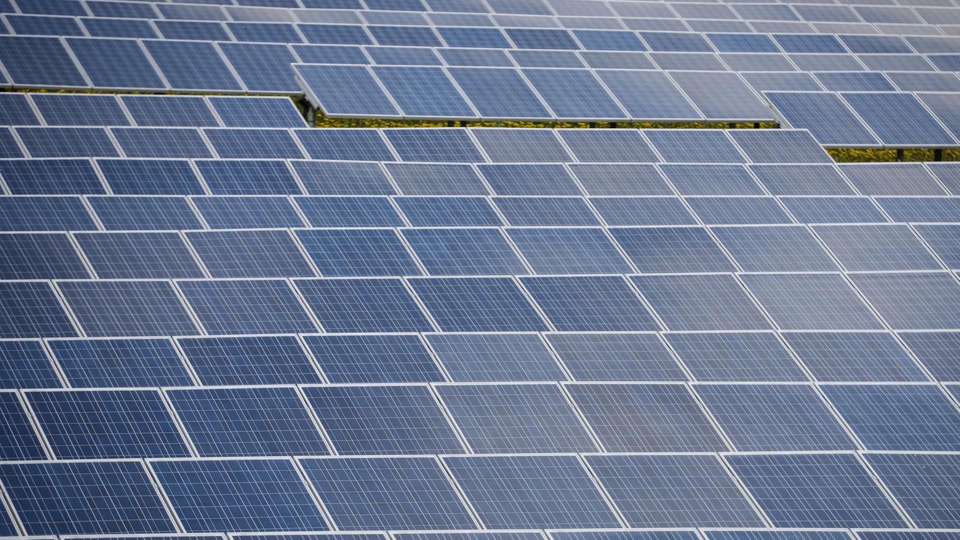 Dutzende Sonnenkollektoren stehen am in einem Solarpark des Photovoltaik-Spezialisten IBC Solar an der Autobahn 70 bei Buckendorf (Bayern). Dutzende Sonnenkollektoren stehen am in einem Solarpark des Photovoltaik-Spezialisten IBC Solar an der Autobahn 70 bei Buckendorf (Bayern).