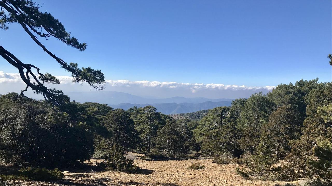 Beliebt bei Touristen: das Troodos Gebirge im Süden Zyperns. Beliebt bei Touristen: das Troodos Gebirge im Süden Zyperns.