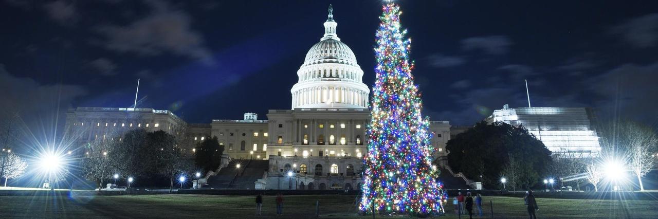 Ein Weihnachtsbaum steht in der Nacht neben dem Kapitol in der US-Hauptstadt Washington.