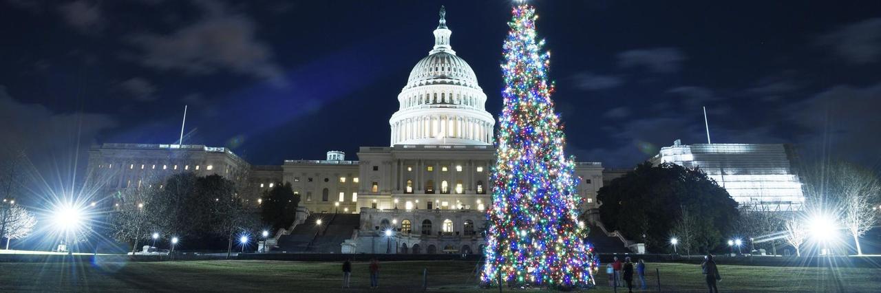 Ein Weihnachtsbaum steht in der Nacht neben dem Kapitol in der US-Hauptstadt Washington. Ein Weihnachtsbaum steht in der Nacht neben dem Kapitol in der US-Hauptstadt Washington.