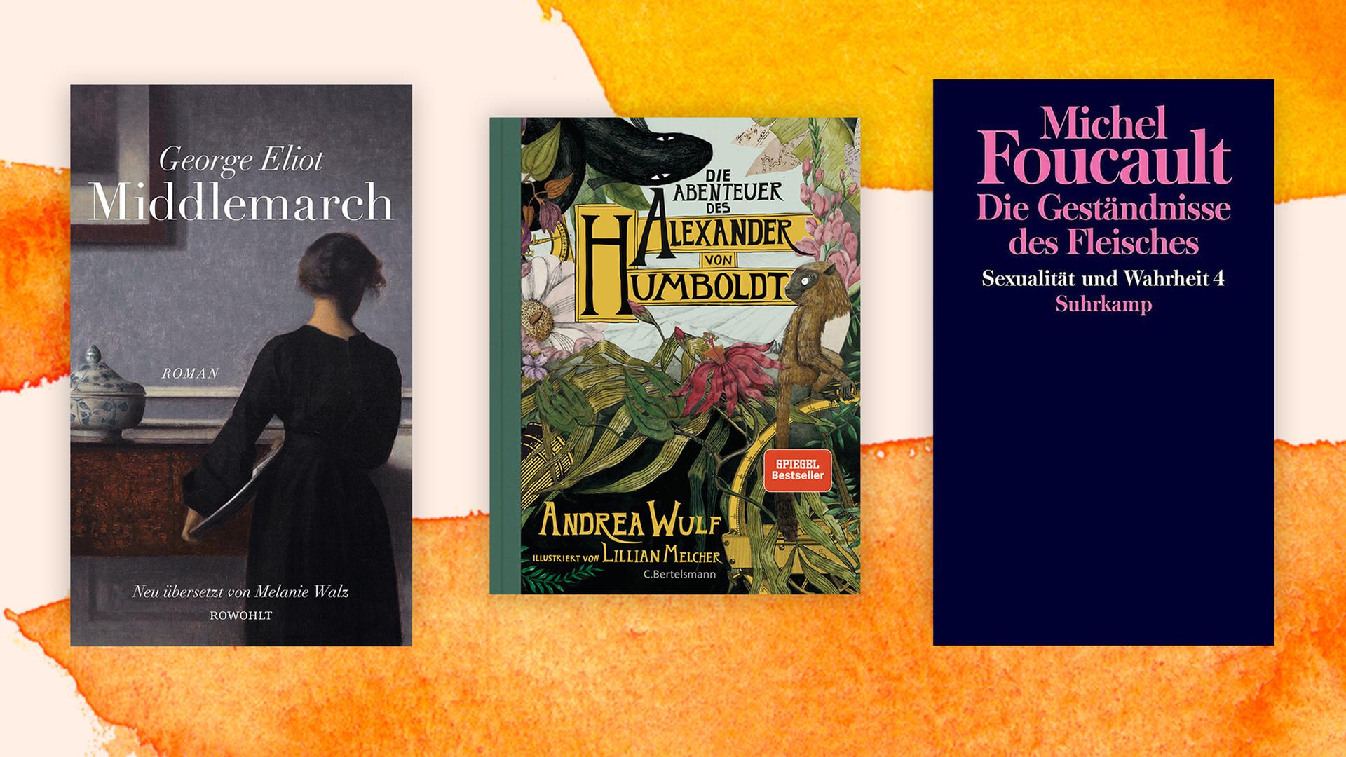 Coveransichten der ausgewählten Bücher vor einem orangenen Hintergrund. Coveransichten der ausgewählten Bücher vor einem orangenen Hintergrund.