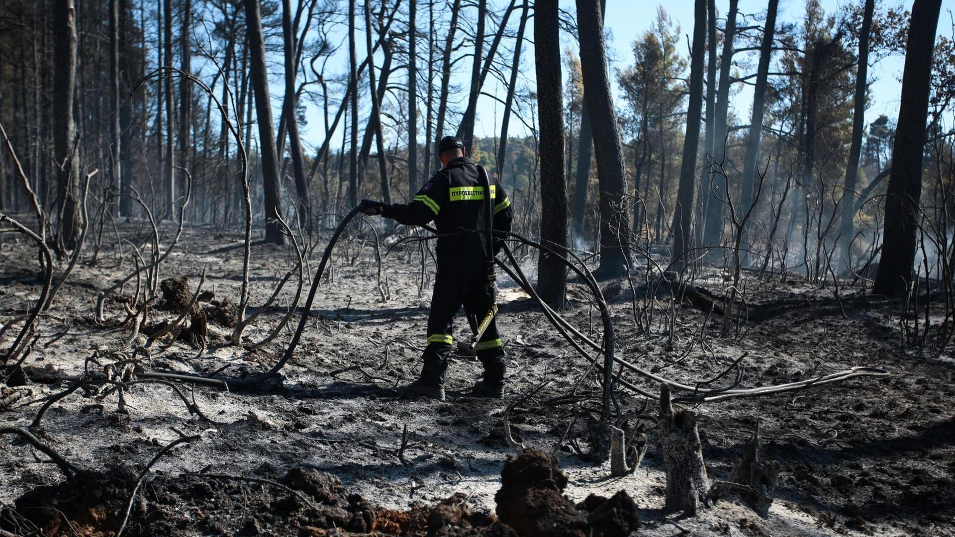 Eindrücke von den Brandschäden am Berg Parnitha am 08. August 2021. Parnitha ist ein Gebirge im Norden der griechischen Halbinsel Attika, etwa 30 km nordwestlich von Athen. Ein Feuerwehrmann steht zwischen verkohlten Bäumen. Eindrücke von den Brandschäden am Berg Parnitha am 08. August 2021. Parnitha ist ein Gebirge im Norden der griechischen Halbinsel Attika, etwa 30 km nordwestlich von Athen. Ein Feuerwehrmann steht zwischen verkohlten Bäumen.
