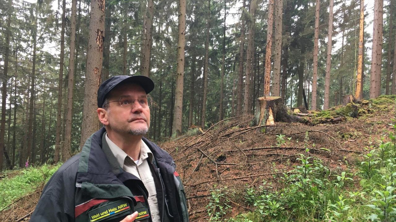 Bertram Leder begutachtet abgestorbene Fichten Bertram Leder begutachtet abgestorbene Fichten