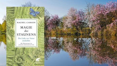 Buchcover "Magie des Staunens" von Rachel Carson