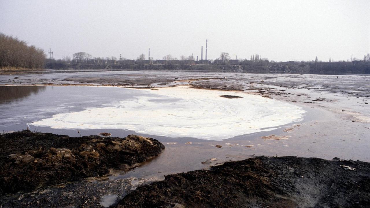 Der sogenannte Silbersee bei Bitterfeld, in den zu DDR-Zeiten belastete Abwässer, Schlämme und Abfälle aus der Filmfabrik Wolfen eingeleitet wurden.