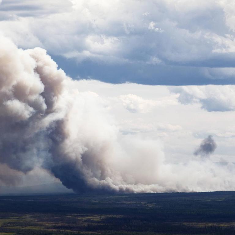 Waldbrand in Alaska