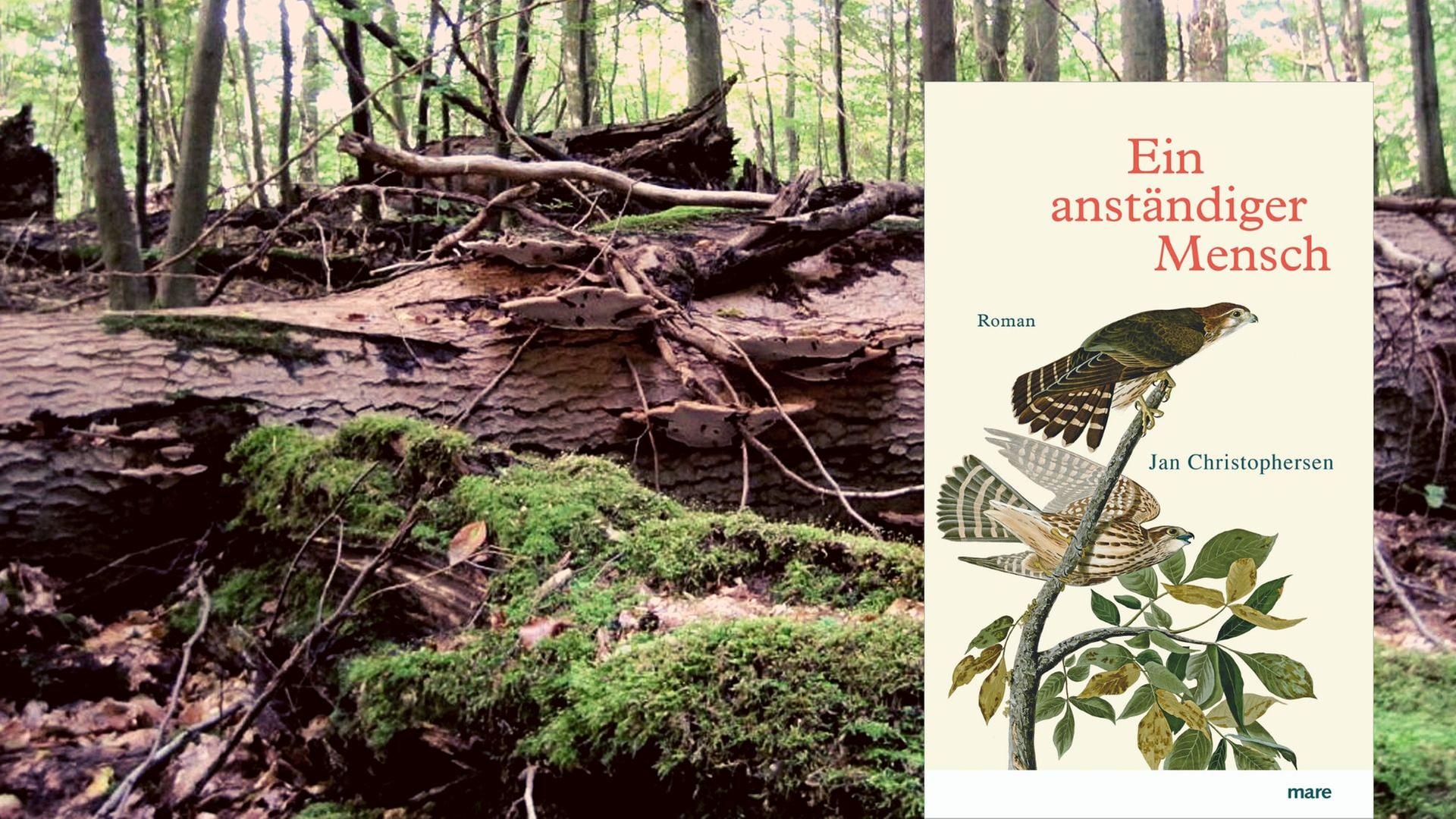 Buchcover: Jan Christophersen: „Ein anständiger Mensch“ Buchcover: Jan Christophersen: „Ein anständiger Mensch“