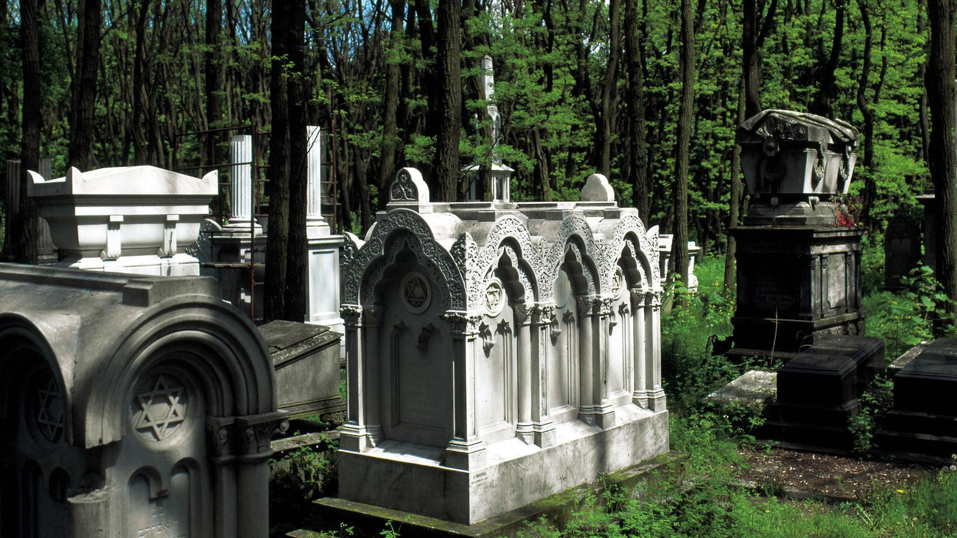 Grabstätten auf dem jüdischen Friedhof in Warschau. (Undatierte Aufnahme). Grabstätten auf dem jüdischen Friedhof in Warschau. (Undatierte Aufnahme).