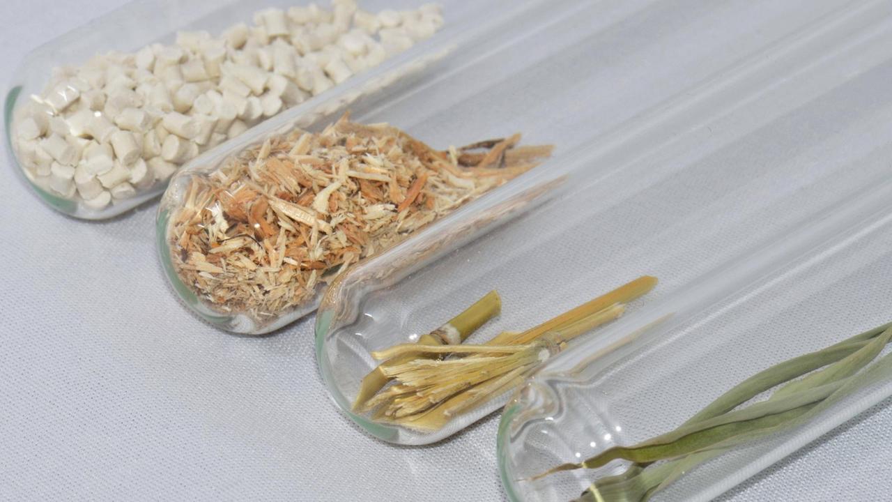 In vier Reagenzgläsern befinden sich zerkleinerte Pflanzenteile. Unter anderem aus Bambus, Holz oder Stroh soll Bioplastik erzeugt werden, mit der Plastik aus Erdöl ersetzt werden kann.