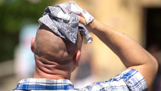 Klimawandel: Deutschland wird mehr Hitzetage bekommen; das Bild zeigt einen Mann von hinten, der ein Handtuch auf seine verschwitzte Glatze drückt...