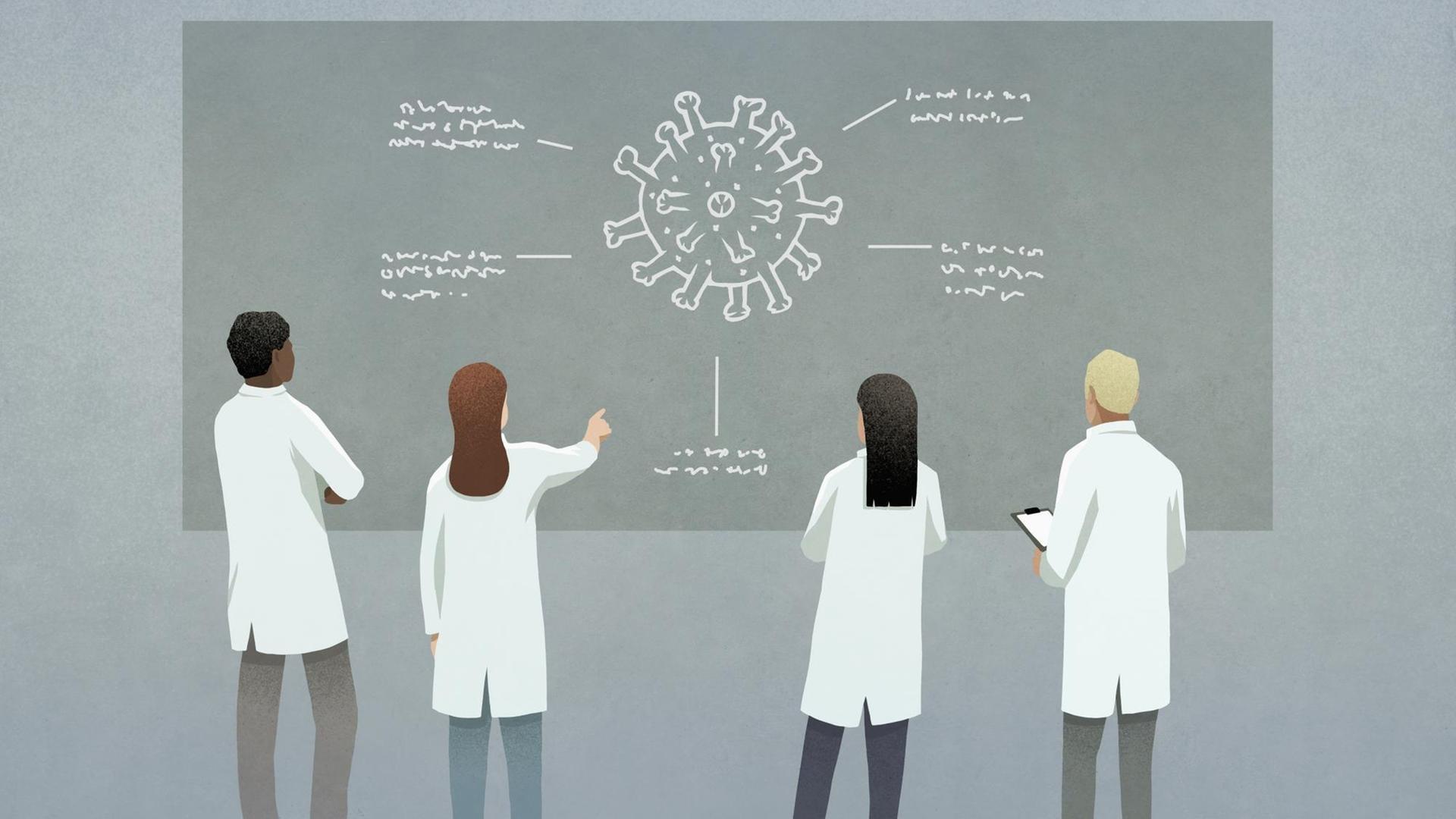 Illustration: Vier Ärztinnen stehen vor einer Tafel und diskutieren den Coronavirus.
