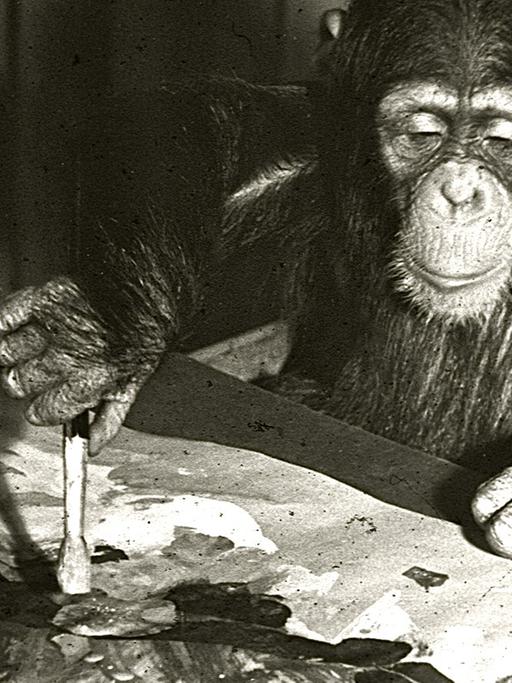 Ein Schimpanse beim Malen eines Bildes.