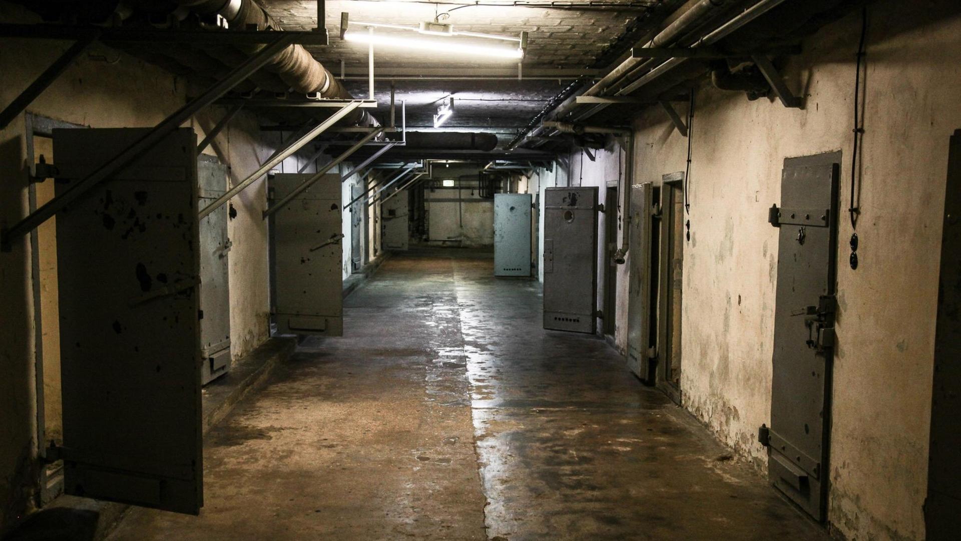 Ein Farbfoto zeigt einen langen, dunklen Gang mit eucht schimmerndem Boden und Metall-Türen
