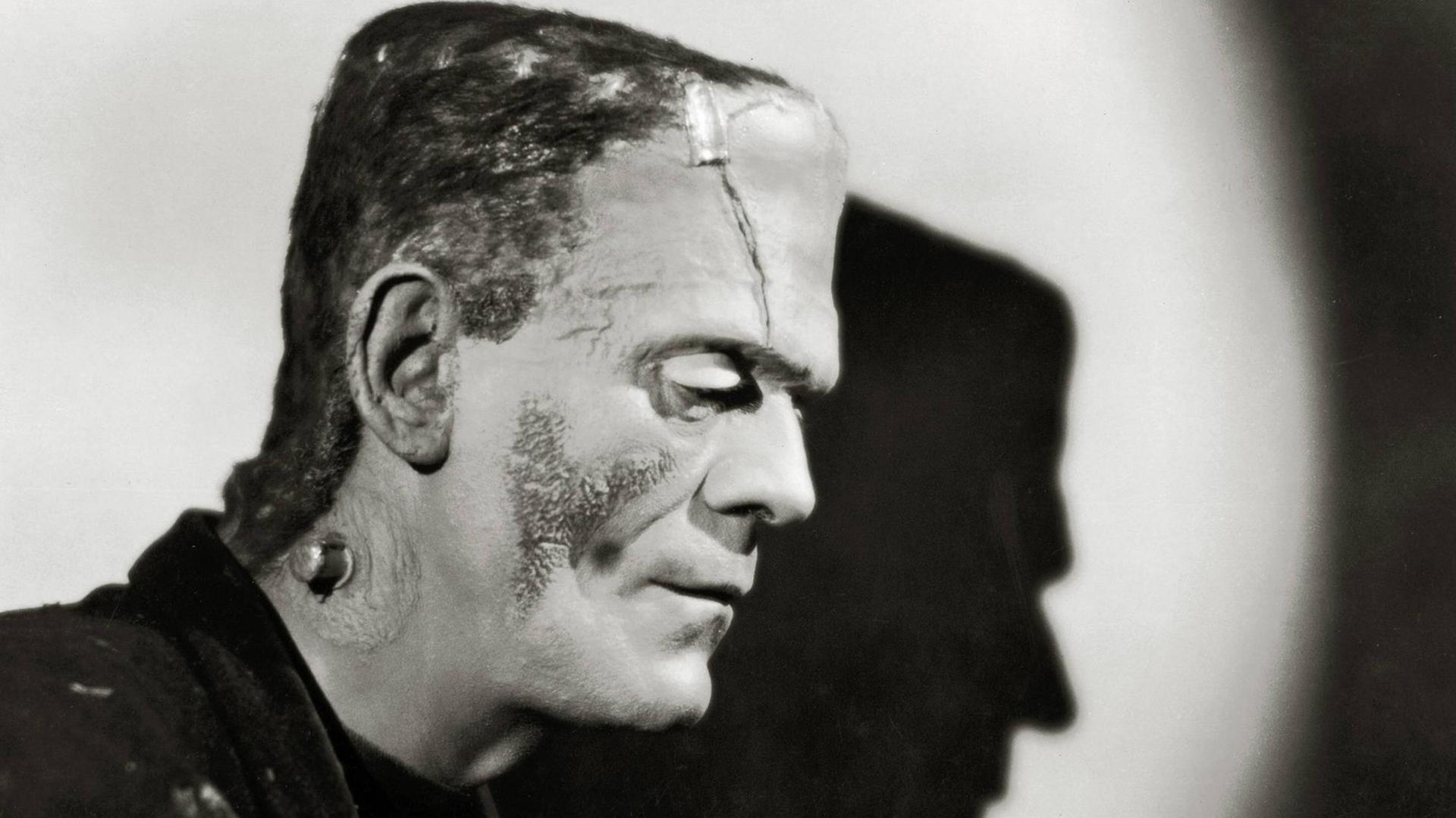 Schauspieler Boris Karloff, 1935 in "Frankensteins Braut" Schauspieler Boris Karloff, 1935 in "Frankensteins Braut"