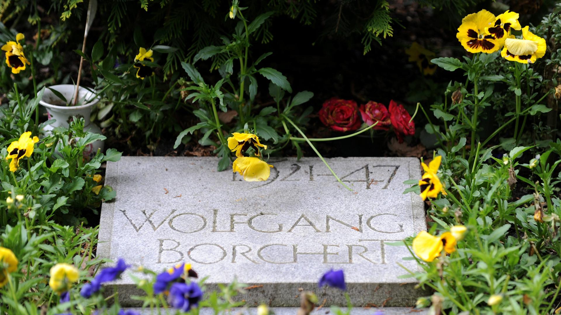 Blumen liegen auf dem Grab des Schriftstellers Wolfgang Borchert auf dem Friedhof Ohlsdorf in Hamburg. Blumen liegen auf dem Grab des Schriftstellers Wolfgang Borchert auf dem Friedhof Ohlsdorf in Hamburg.