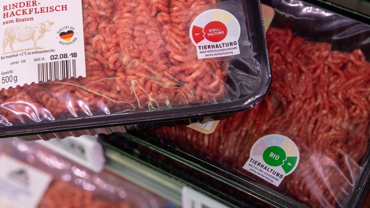 Köln, Packungen mit Rinderhackfleisch mit den Haltungskennzeichnungen der Stufe "Stallhaltung" und "Bio" liegen in einem Supermarkt des Lebensmitteldiscounter Penny im Kühlregal. Deutschlands Discounter informieren bei Fleischprodukten immer öfter über die Haltungsbedingungen der Tiere. Köln, Packungen mit Rinderhackfleisch mit den Haltungskennzeichnungen der Stufe "Stallhaltung" und "Bio" liegen in einem Supermarkt des Lebensmitteldiscounter Penny im Kühlregal. Deutschlands Discounter informieren bei Fleischprodukten immer öfter über die Haltungsbedingungen der Tiere.