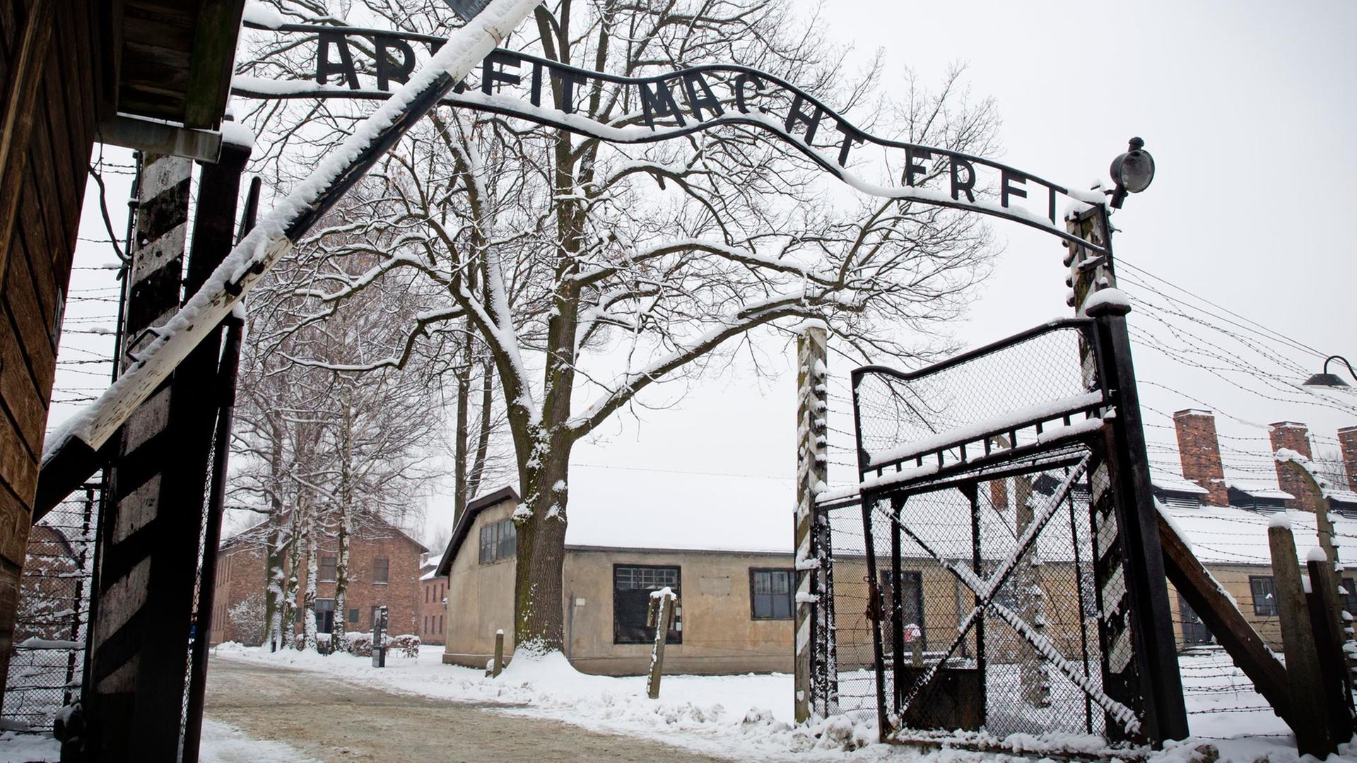Das Konzentrationslager Auschwitz Birkenau
