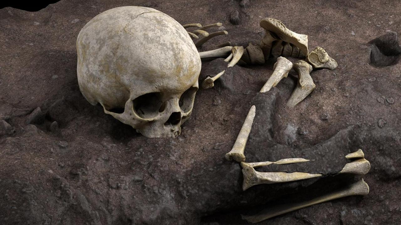 Leider liegt für dieses Bild keine Bildbeschreibung vor Leider liegt für dieses Bild keine Bildbeschreibung vor